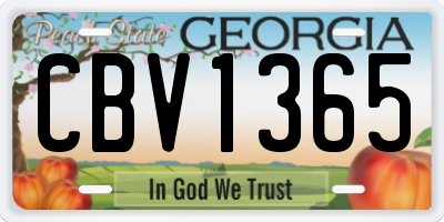 GA license plate CBV1365