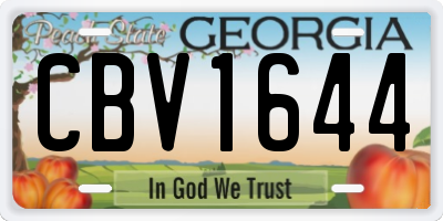 GA license plate CBV1644
