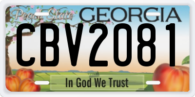 GA license plate CBV2081