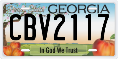 GA license plate CBV2117