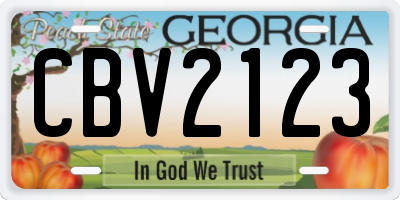 GA license plate CBV2123