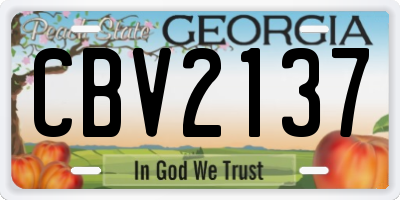 GA license plate CBV2137