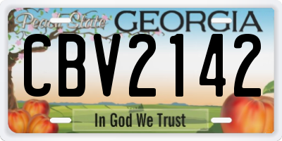 GA license plate CBV2142