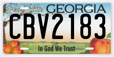 GA license plate CBV2183