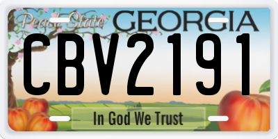 GA license plate CBV2191