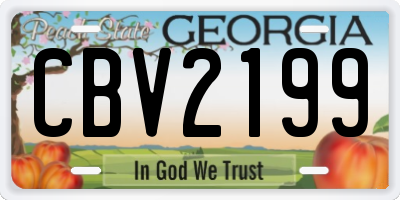 GA license plate CBV2199
