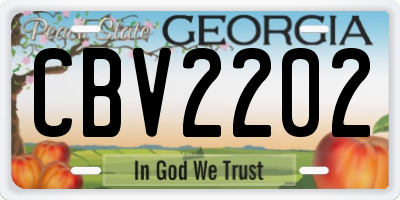 GA license plate CBV2202