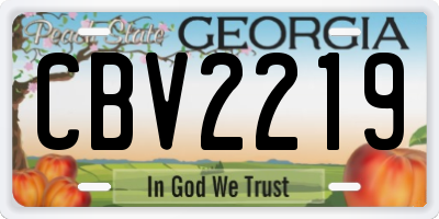 GA license plate CBV2219