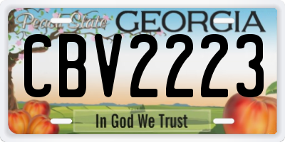 GA license plate CBV2223