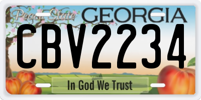 GA license plate CBV2234
