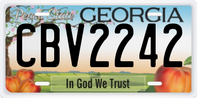 GA license plate CBV2242