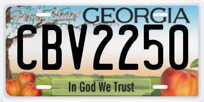 GA license plate CBV2250