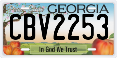 GA license plate CBV2253