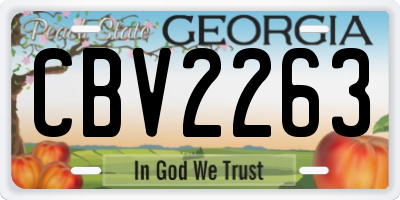 GA license plate CBV2263