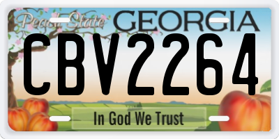 GA license plate CBV2264