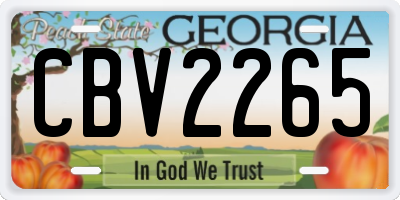 GA license plate CBV2265