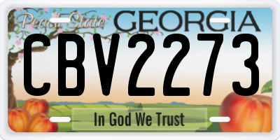 GA license plate CBV2273