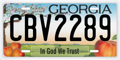 GA license plate CBV2289