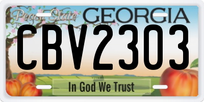 GA license plate CBV2303