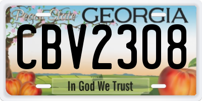 GA license plate CBV2308