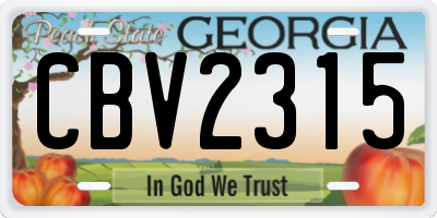 GA license plate CBV2315