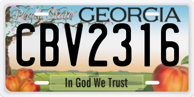 GA license plate CBV2316
