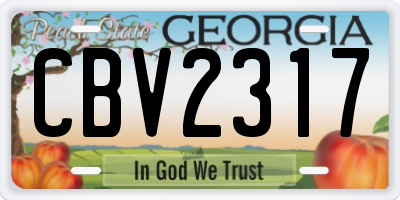 GA license plate CBV2317