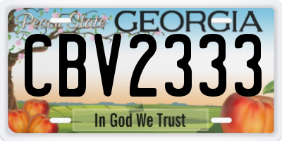 GA license plate CBV2333