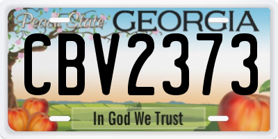 GA license plate CBV2373