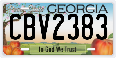GA license plate CBV2383