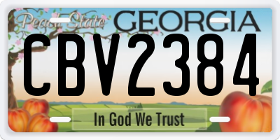 GA license plate CBV2384