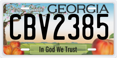 GA license plate CBV2385