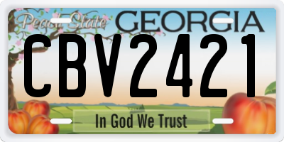 GA license plate CBV2421