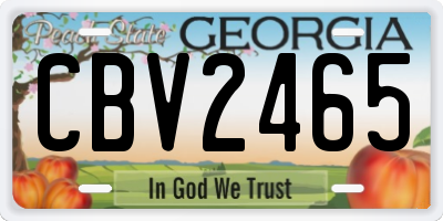 GA license plate CBV2465