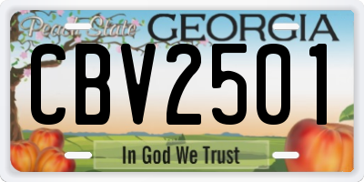 GA license plate CBV2501