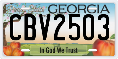 GA license plate CBV2503