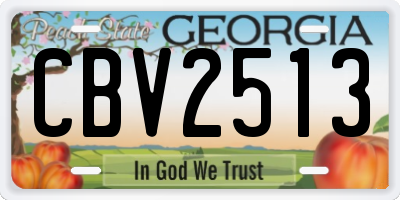 GA license plate CBV2513