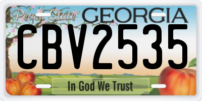 GA license plate CBV2535
