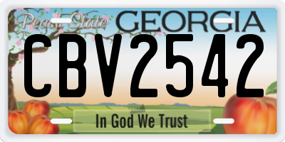 GA license plate CBV2542