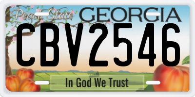 GA license plate CBV2546