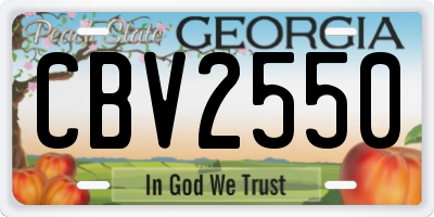 GA license plate CBV2550