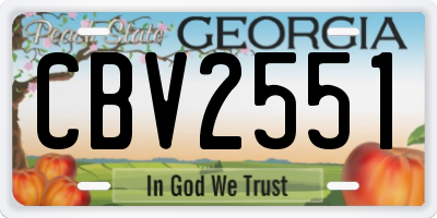 GA license plate CBV2551