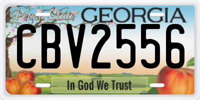 GA license plate CBV2556