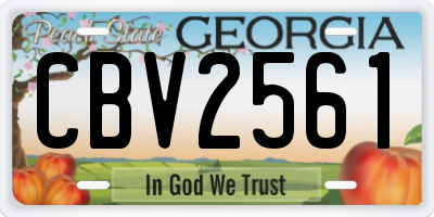 GA license plate CBV2561