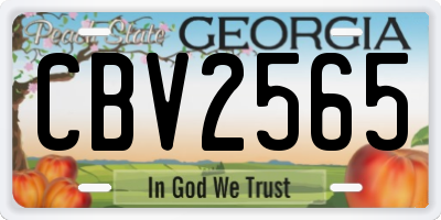 GA license plate CBV2565