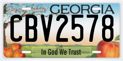 GA license plate CBV2578