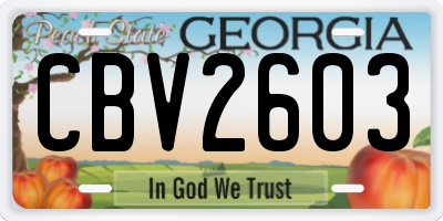 GA license plate CBV2603
