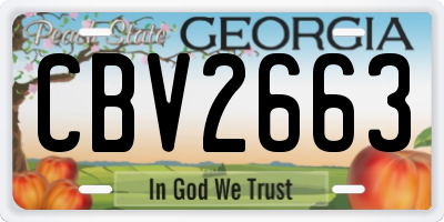 GA license plate CBV2663