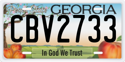 GA license plate CBV2733