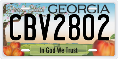 GA license plate CBV2802